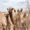 Enspannungsbilder