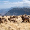 Enspannungsbilder
